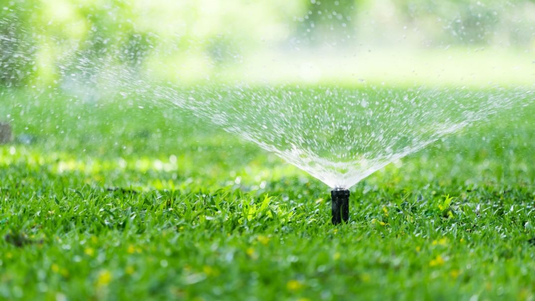 A Guide to Watering Your Lawn This Spring