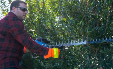 Top Trimming Tips for Hedges