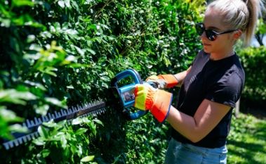 How to Trim Hedges Like a Pro