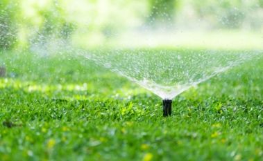 A Guide to Watering Your Lawn This Spring