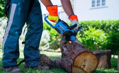 The Best Garden Power Tools for Home Use