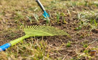 How to Revive Your Lawn in Time for Summer