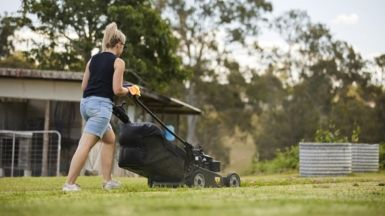 Choosing the Perfect Lawn Mower for Your Garden
