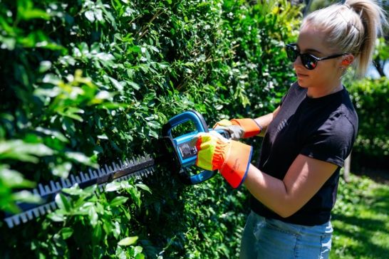 How to Trim Hedges Like a Pro