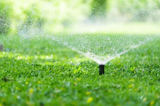 A Guide to Watering Your Lawn This Spring